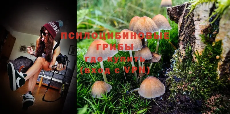 Псилоцибиновые грибы MAGIC MUSHROOMS  сайты даркнета какой сайт  Алушта 